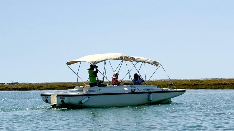 Faro: Ria Formosa Boat Tour by Eco-Friendly Solar Boat - First step: where you meet and how the tour feels right away