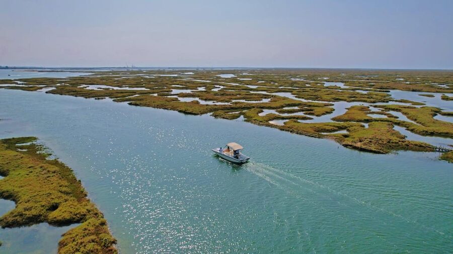 Faro: Ria Formosa Boat Tour by Eco-Friendly Solar Boat - Entering Parque Natural da Ria Formosa: what you’re really looking for