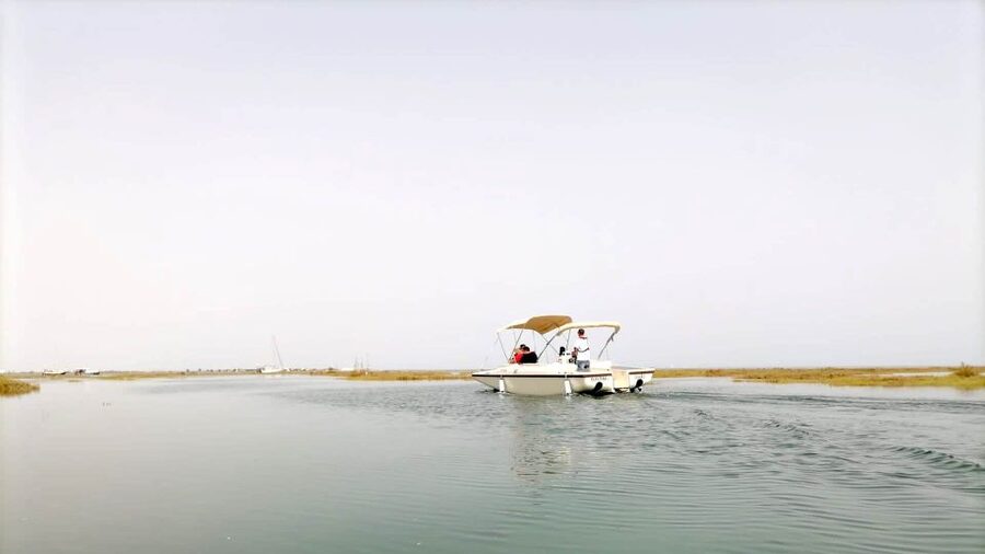 Faro: Ria Formosa Boat Tour by Eco-Friendly Solar Boat - Wildlife spotting with André, Luis, Manuel, or Chico