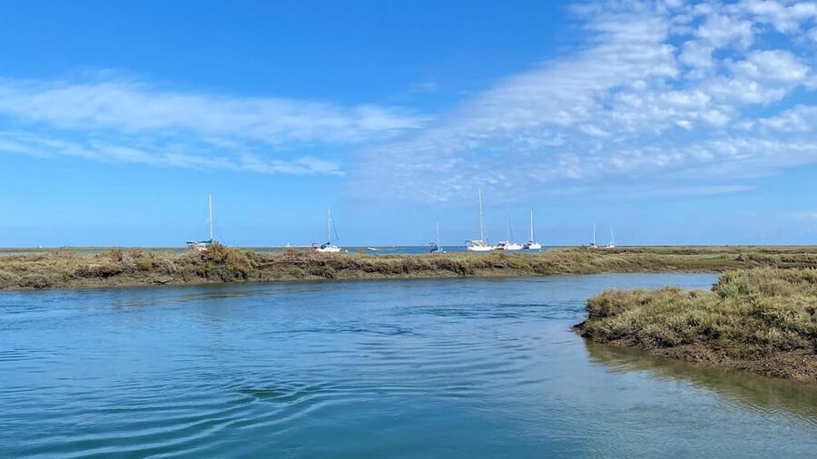 Faro: Ria Formosa Boat Tour by Eco-Friendly Solar Boat - How the 1-hour itinerary actually plays out