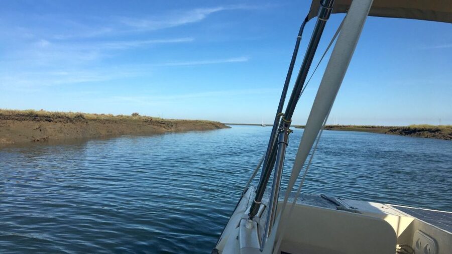 Faro: Ria Formosa Boat Tour by Eco-Friendly Solar Boat - Price and value: why $29 for an hour can make sense