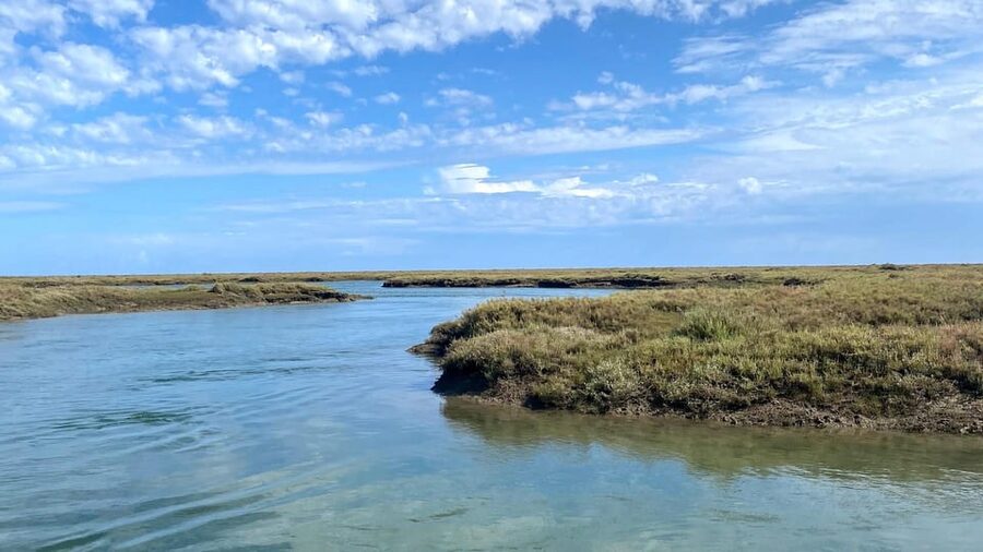 Faro: Ria Formosa Boat Tour by Eco-Friendly Solar Boat - Who this tour suits best