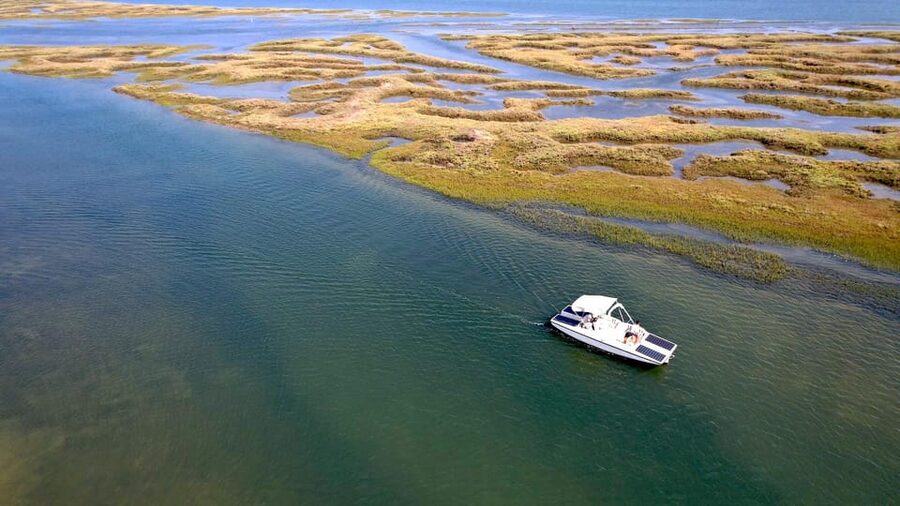 Faro: Ria Formosa Boat Tour by Eco-Friendly Solar Boat - When to go: seasonal expectations for bird life