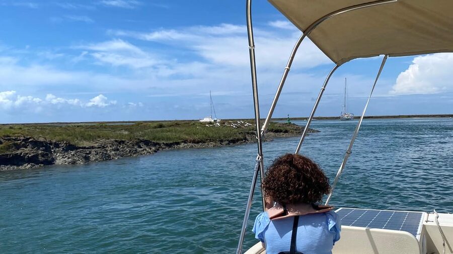 Faro: Ria Formosa Boat Tour by Eco-Friendly Solar Boat - The solar boat: quiet, comfortable, and genuinely calmer