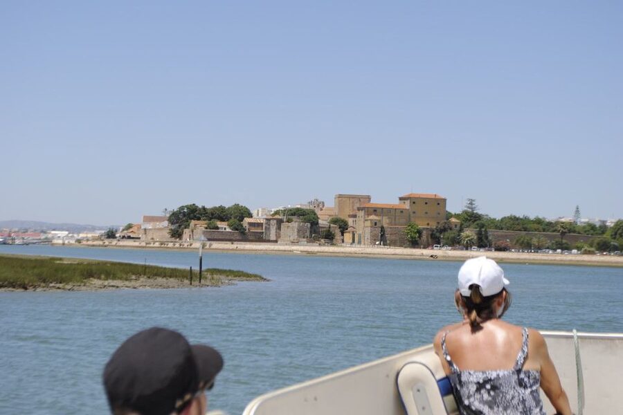 Faro: Ria Formosa Lagoon Small Boat Tour with Local Guide - The pontoon boat ride: comfortable, local, and easy on your schedule