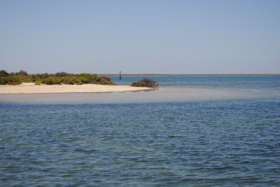 Faro: Ria Formosa Lagoon Small Boat Tour with Local Guide - Faro Old Town from the water: the part you will remember in photos