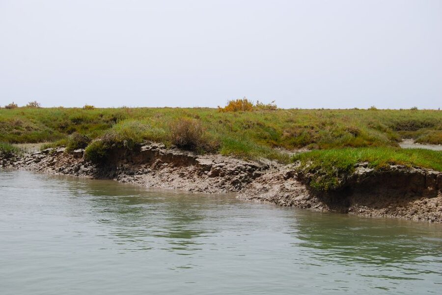 Faro: Ria Formosa Lagoon Small Boat Tour with Local Guide - Parque Natural da Ria Formosa: what you are actually touring