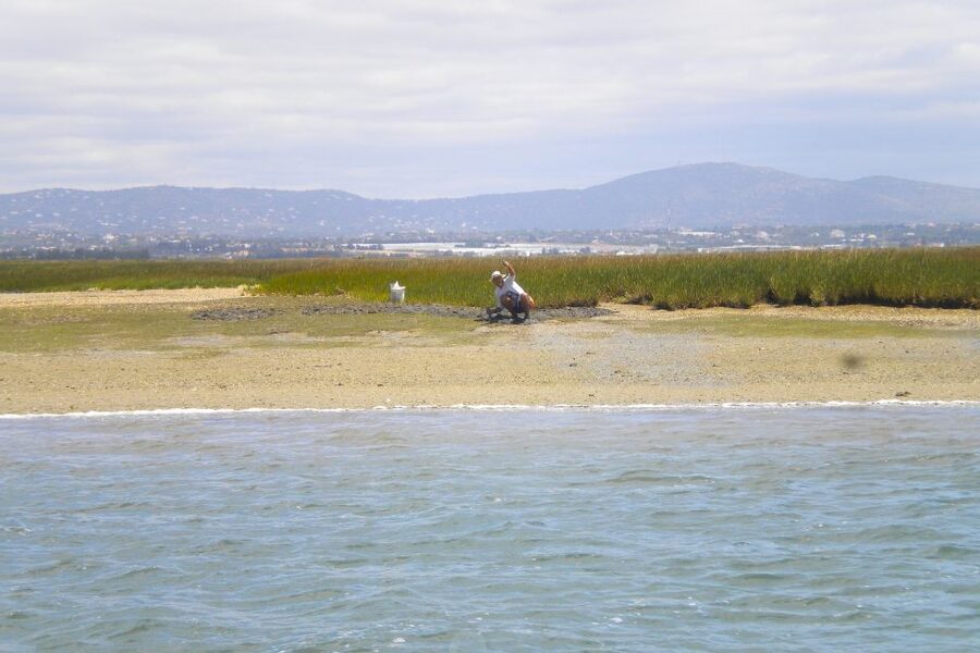 Faro: Ria Formosa Lagoon Small Boat Tour with Local Guide - The guide matters: the names you may hear and why they make the hour better