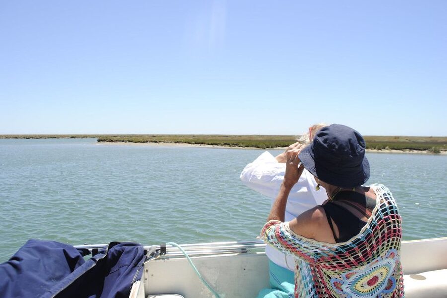 Faro: Ria Formosa Lagoon Small Boat Tour with Local Guide - Timing, weather, and tide reality: how to avoid disappointment
