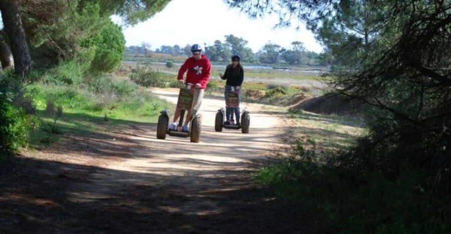 Faro: Ria Formosa Natural Park Segway Tour & Birdwatching - The best way to enjoy this tour on the day