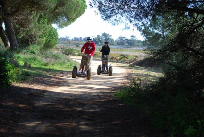 Faro: Ria Formosa Natural Park Segway Tour & Birdwatching - The ride route: what you’re actually doing for 1.5 hours