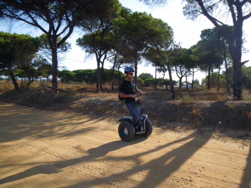Faro: Ria Formosa Natural Park Segway Tour & Birdwatching - Ludo Reserve birdwatching: the real payoff