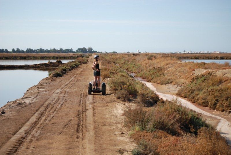 Faro: Ria Formosa Natural Park Segway Tour & Birdwatching - What your guide helps you notice (beyond just the birds)