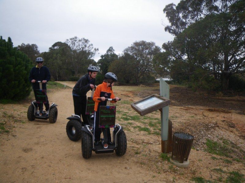 Faro: Ria Formosa Natural Park Segway Tour & Birdwatching - Price and value: is $66 a good deal?