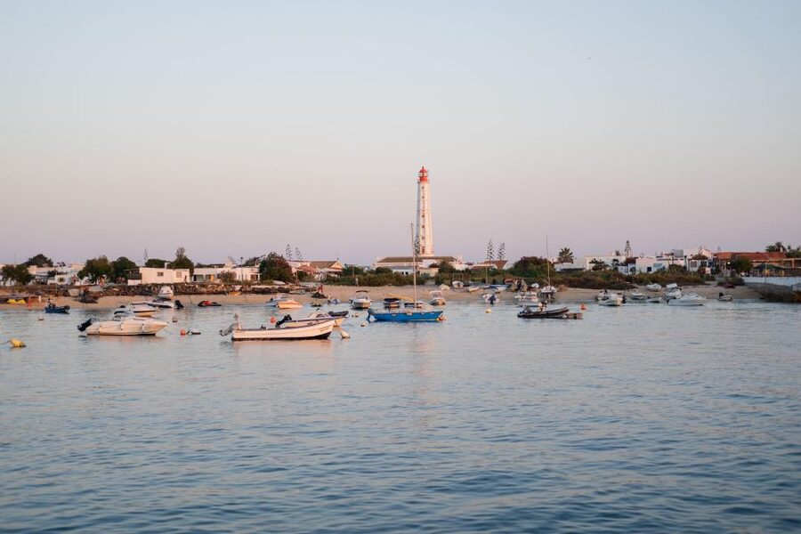 Faro: Ria Formosa Sunset Nature Boat Tour - Key Things I’d Prioritize on This Ria Formosa Sunset Cruise
