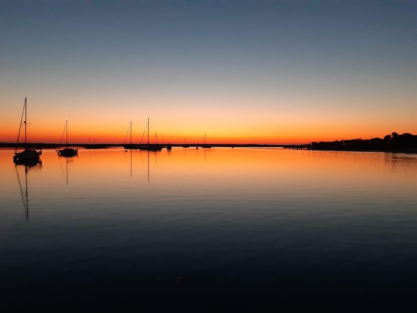 Faro: Ria Formosa Sunset Nature Boat Tour - Meet at Rua Comandante Francisco Manuel, Then Head Out From Faro’s Old Town Pier
