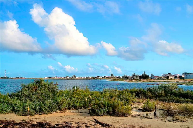 Faro: Sunset 1 hour Ria Formosa Boat Tour - Price and Value: Why $28 Feels Reasonable