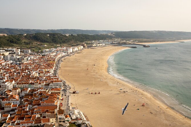 Fatima Sanctuary, Pena Palace & Nazare's Big Wave from Lisbon - Time on the road, comfort, and why group size matters