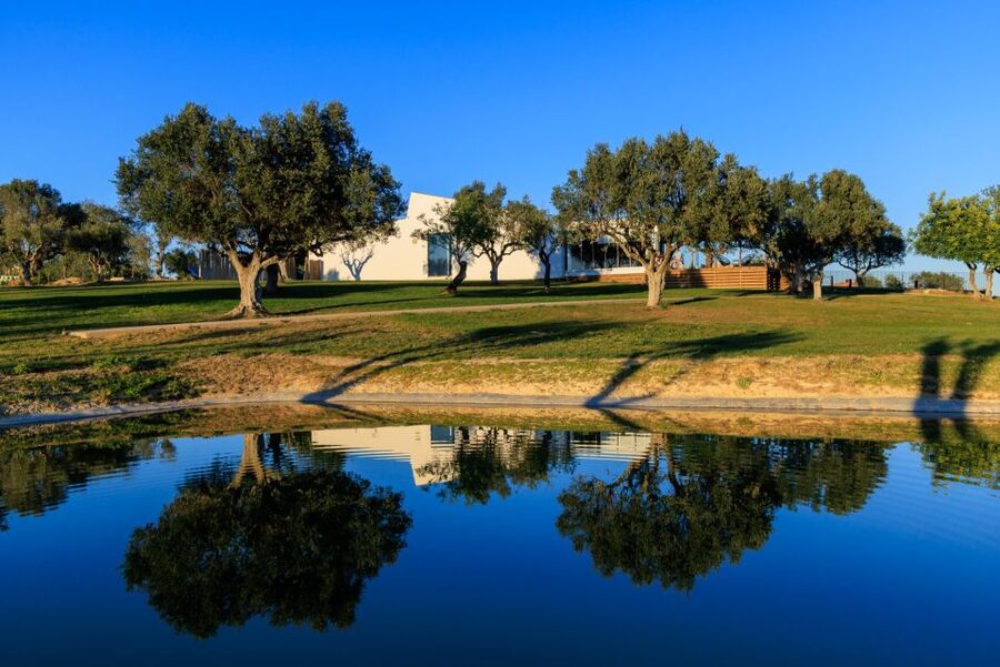 From Albufeira: 4x4 Off-Road Safari & Vineyard Wine Tasting - Should You Book This Tour From Albufeira?