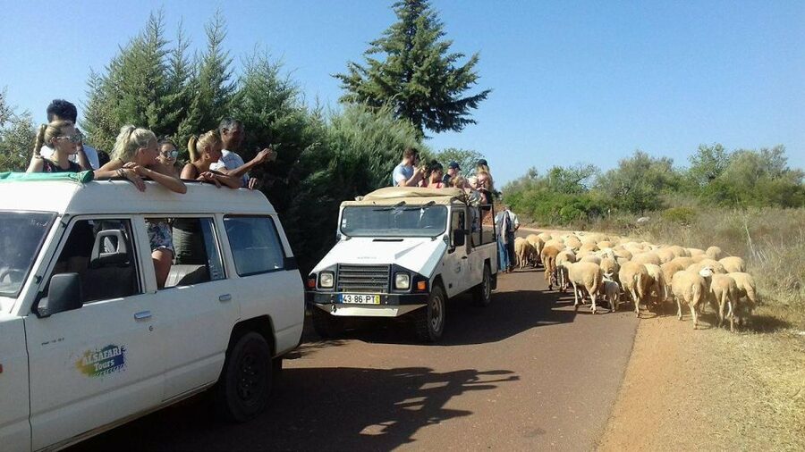 From Albufeira: 4x4 Off-Road Safari & Vineyard Wine Tasting - From Hotel Pickup to Off-Road Mode: How the Tour Really Starts