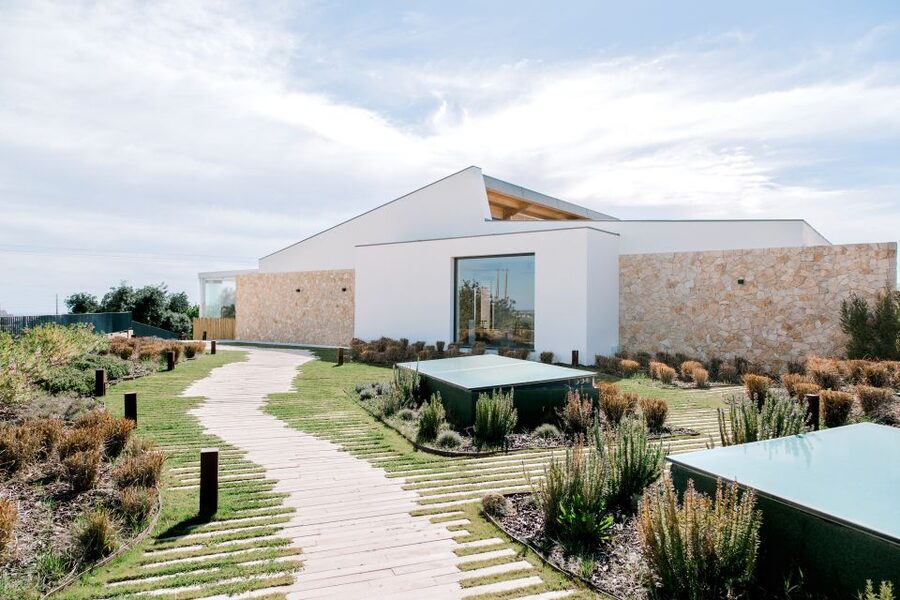 From Albufeira: 4x4 Off-Road Safari & Vineyard Wine Tasting - Cork Trees, Cork Processing, and Why This Wine Stop Feels More Real