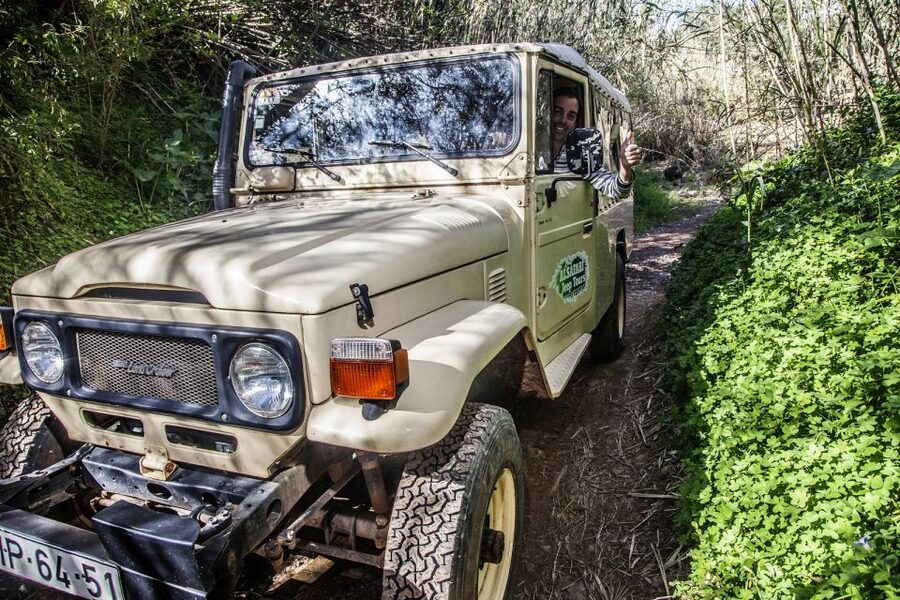 From Albufeira: Algarve Sunset Jeep Tour with Tastings - Key highlights you will feel