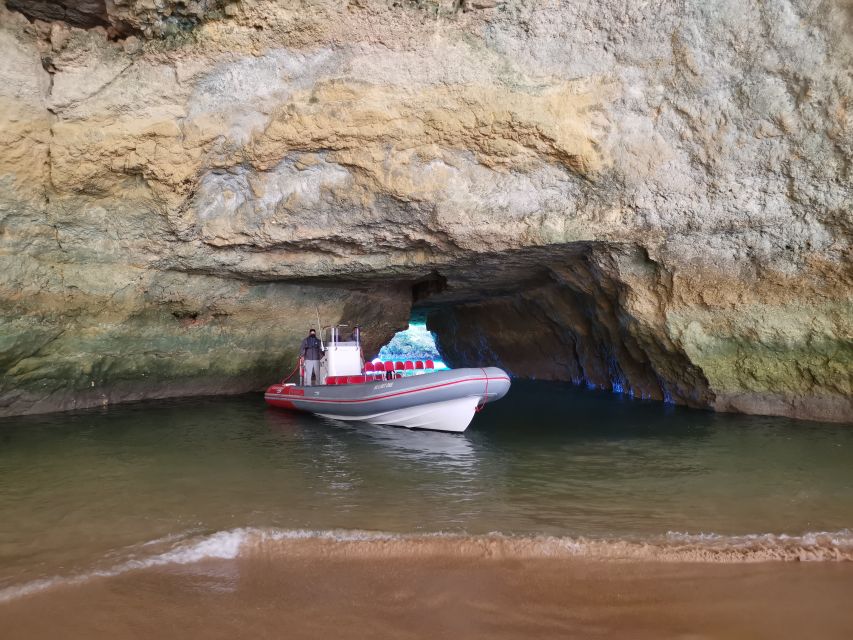 From Albufeira: Benagil Caves and Dolphins Guided Boat Tour - A 2.5-Hour Speedboat Route Between Albufeira and Benagil