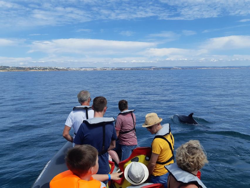 From Albufeira: Benagil Caves and Dolphins Guided Boat Tour - Price and Value Check: Is $35 Fair for Caves, Cruise, and Possible Dolphins?