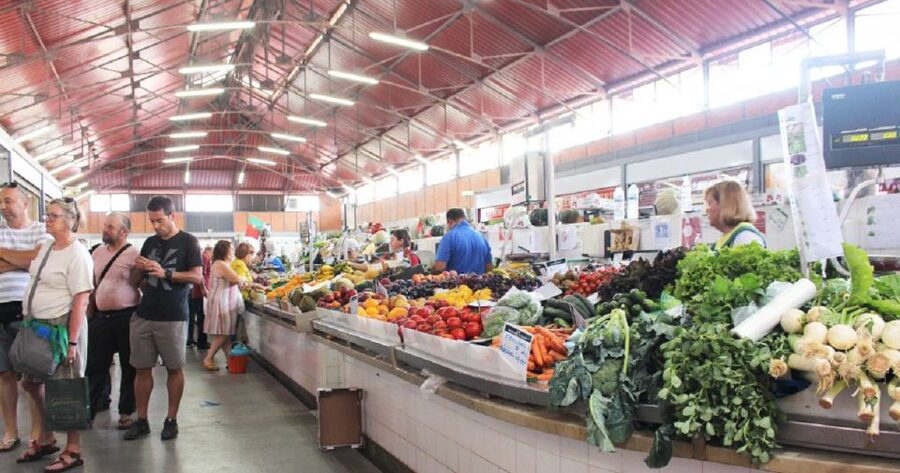 From Albufeira: Full-Day Tour of Algarve Eastern's Finest - Olhão Market and a Moorish Fishing-Town Feel