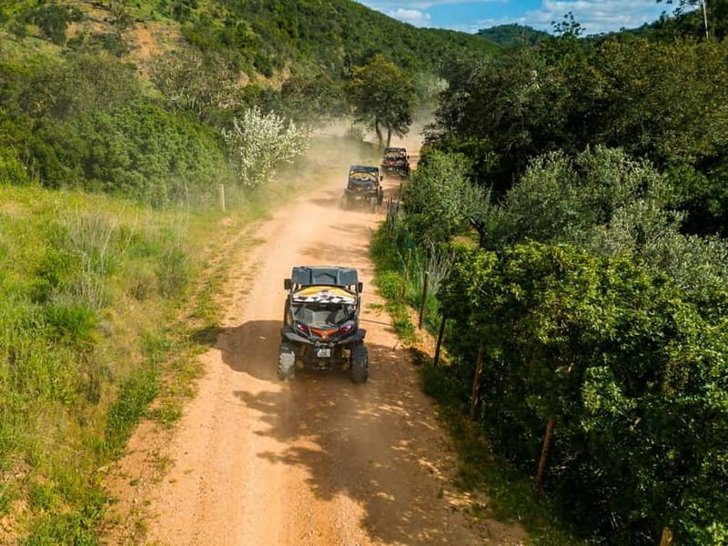 From Albufeira: Half-Day Buggy Adventure Tour - Paderne: the longest chunk, with both driving and sightseeing time