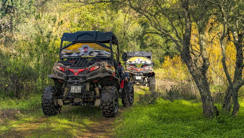 From Albufeira: Half-Day Buggy Adventure Tour - Price value for a group up to 2, and what you are really paying for