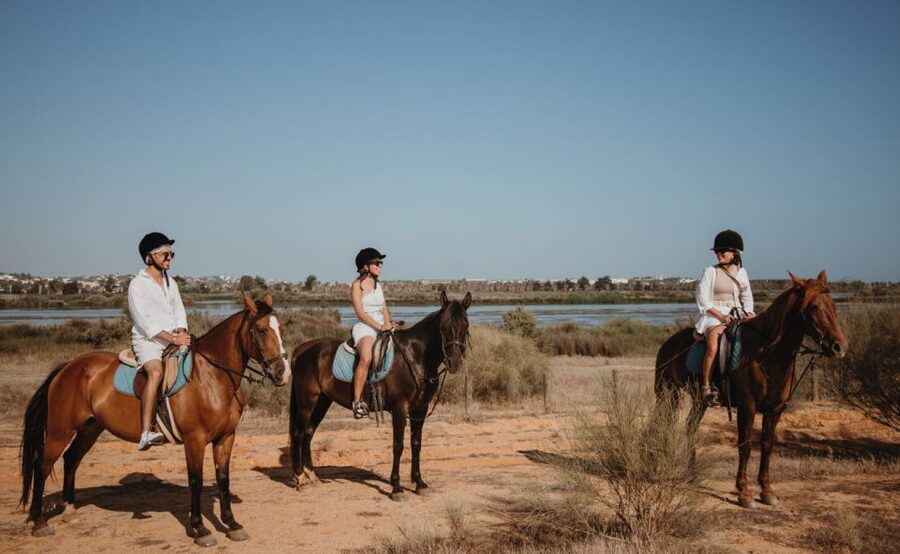 From Albufeira: Half-Day Hidden Gems & Horse Riding Tour - The horseback ride: panoramic lagoon views and calm control