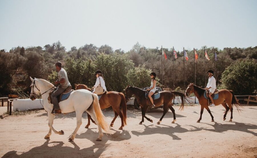 From Albufeira: Half-Day Hidden Gems & Horse Riding Tour - Price and value: what $106 buys in 4 hours