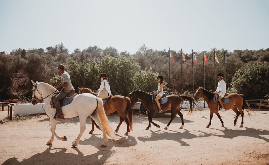 From Albufeira: Horse Riding Tour with Pickup - Why this Albufeira horseback ride feels more personal than a typical tour