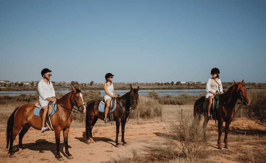 From Albufeira: Horse Riding Tour with Pickup - Who this tour suits best, and who should rethink it