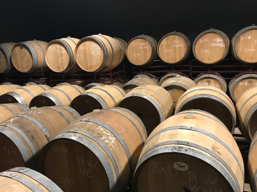 From Albufeira: Wine Tasting & Historic Silves Tour - Should You Book This Wine Tasting and Silves Tour?