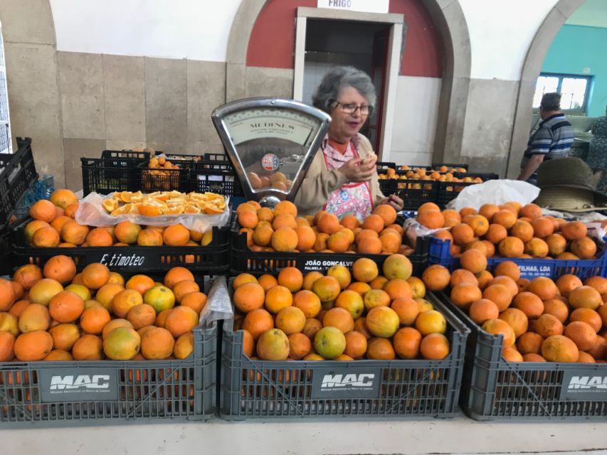 From Albufeira: Wine Tasting & Historic Silves Tour - What You Taste: Red, White, Rosé, and Algarve Nibbles