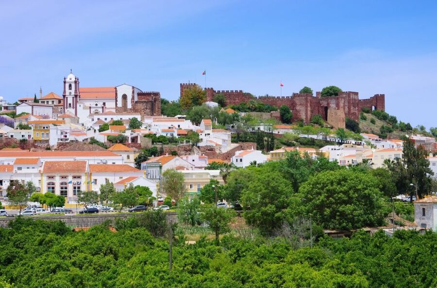 From Albufeira: Wine Tasting & Historic Silves Tour - The Drive Through Orange Groves and Cork Tree Country