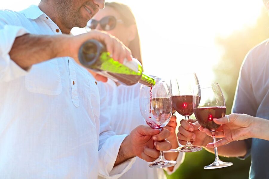 From Albufeira: Wine Tasting & Historic Silves Tour - Timing and Pace: A Real 4-Hour Half-Day From Pickup to Return