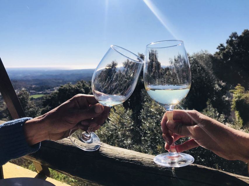 From Albufeira: Wine Tasting & Historic Silves Tour - The Family Winery Walk and Cellar Visit