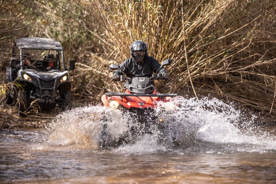 From Almancil: Quad Tour in Algarve Countryside - Almond Groves, Carob Trees, and a Change of Scenery by Algibre