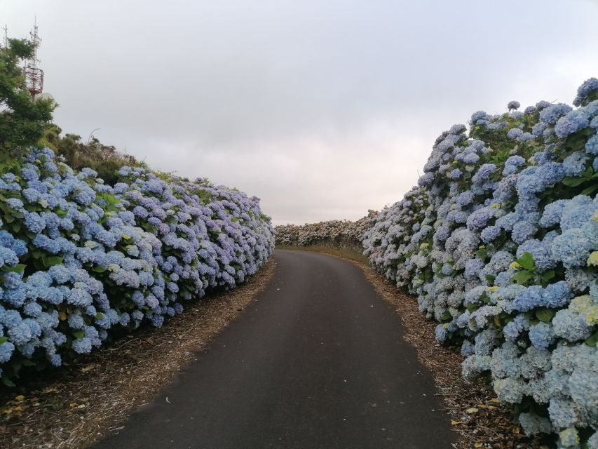 From Angra: Terceira Island Full-Day Tour - Praia da Vitória lunch time: choose your own rhythm