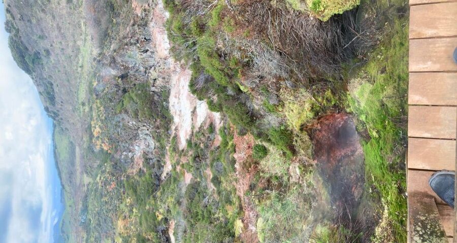 From Angra: Terceira Island Half-Day Geotour (Shared Tour) - Key things you’ll notice