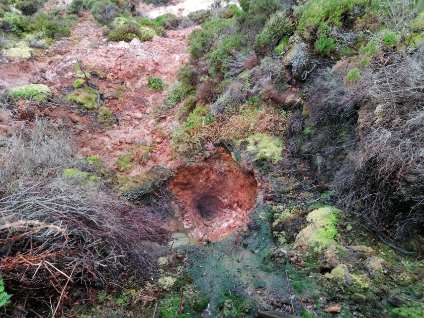 From Angra: Terceira Island Half-Day Geotour (Shared Tour) - Price and Value: Is $78 Worth It?