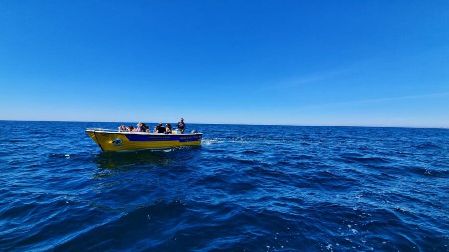 From Benagil: Benagil Cave & Marinha Beach Express Tour - Benagil Sea Cave: The 5-Minute Moment That Makes the Trip