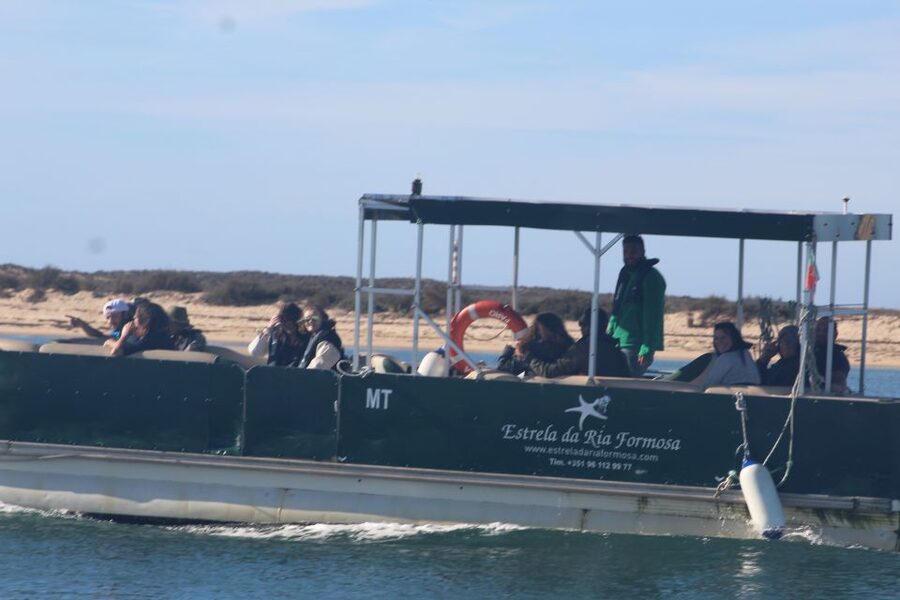 From Faro: 2-Island, 2-Stop Ria Formosa Catamaran Tour - Key things that make this tour worth your time