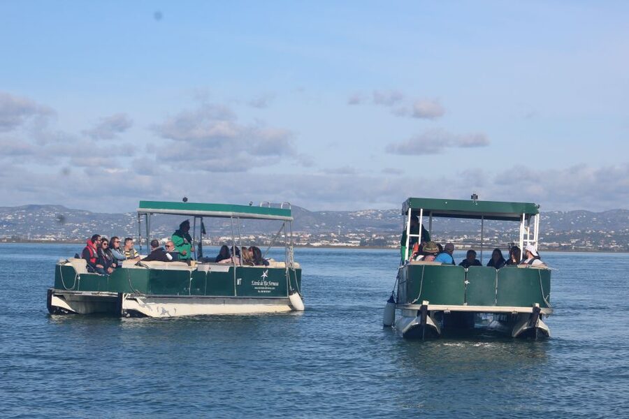 From Faro: 2-Island, 2-Stop Ria Formosa Catamaran Tour - From Cais de Embarque da Porta Nova to open-water calm in Faro