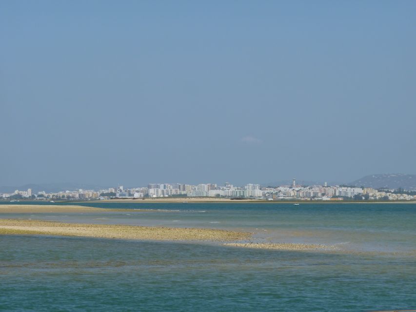From Faro: 2-Island, 2-Stop Ria Formosa Catamaran Tour - Crossing to Farol Island: lighthouse vibes and slower island life