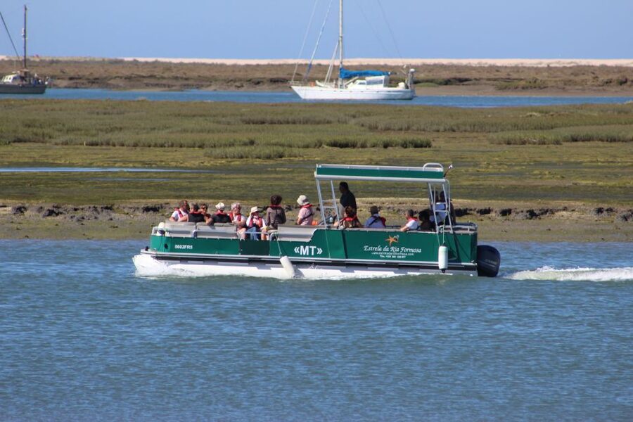 From Faro: 2-Island, 2-Stop Ria Formosa Catamaran Tour - Wildlife, tide timing, and what to watch for when birds are the goal