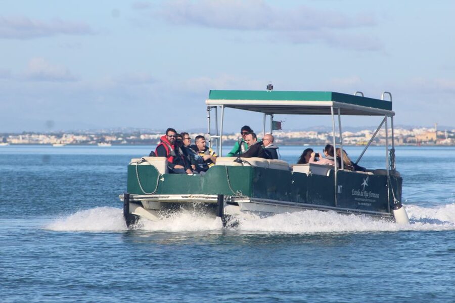 From Faro: 4 Stops, 3 Islands in Ria Formosa Catamaran Tour - The meeting point, the vibe, and what to bring